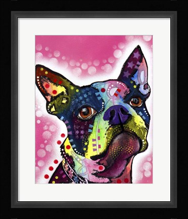 Framed Boston Terrier Print