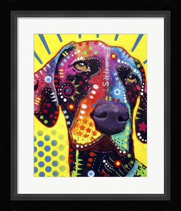 Framed German Short Hair Pointer Print
