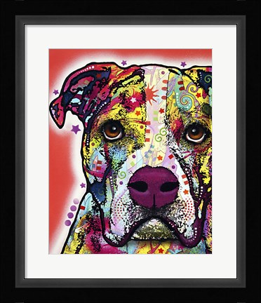 Framed American Bulldog 2 Print
