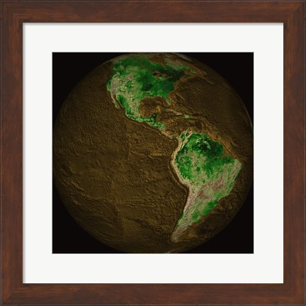 Framed Topographic Map of Earth Print