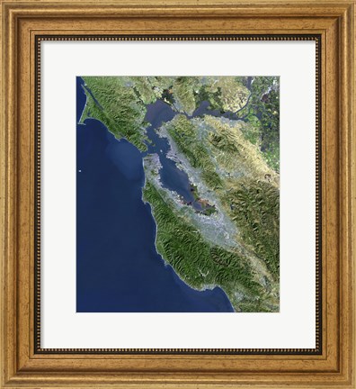 Framed Satellite view of San Francisco, California Print
