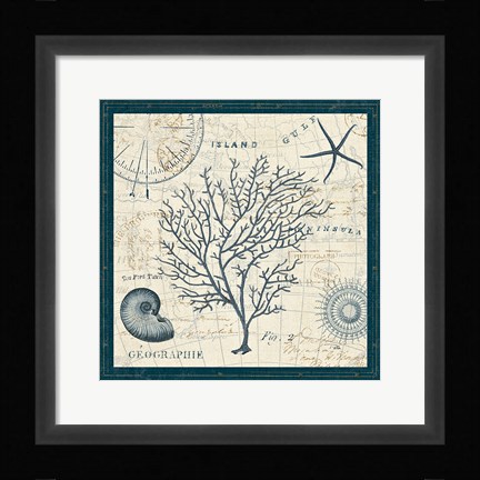 Framed Ocean Life IV Print