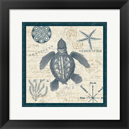 Framed Ocean Life VI Print