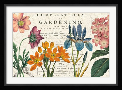 Framed Botany Print