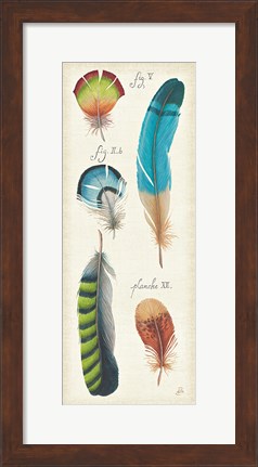Framed Ornithology III Panel Print