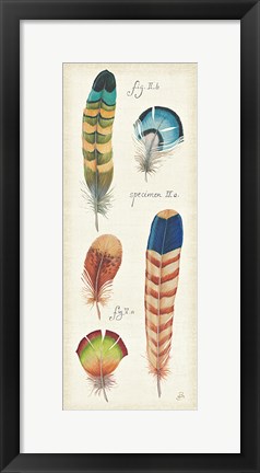 Framed Ornithology IV Panel Print