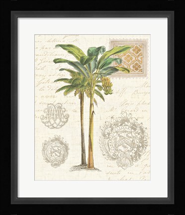 Framed Vintage Palm Study I Print