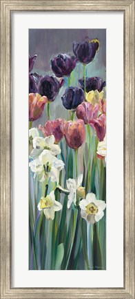 Framed Grape Tulips Panel II Print