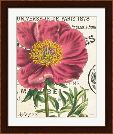 Framed Peony Botany Print