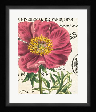 Framed Peony Botany Print