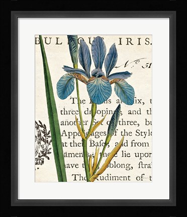 Framed Iris Letter Print