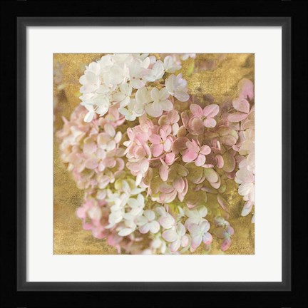 Framed Gilded Hydrangea II Print
