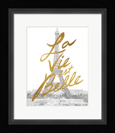 Framed Gilded Paris Print