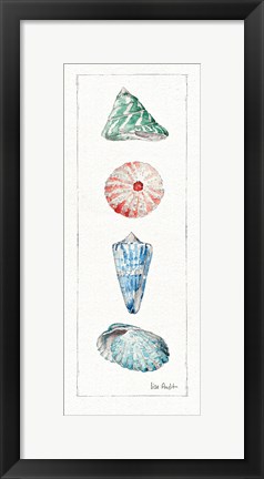 Framed Sea Finds III (panel) Print