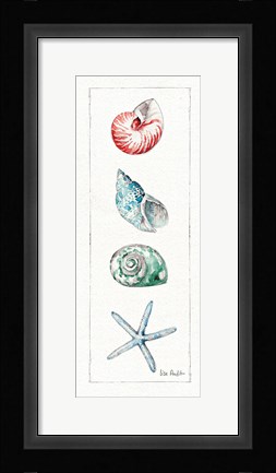 Framed Sea Finds IV (panel) Print