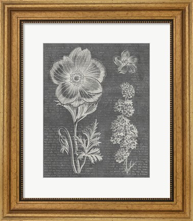Framed Eden Spring I Gray Print
