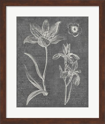 Framed Eden Spring II Gray Print