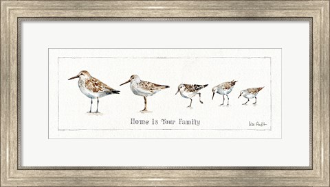 Framed Pebbles and Sandpipers IX Print
