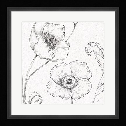 Framed Blossom Sketches I Print