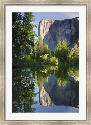 Framed El Capitan reflected in Merced River Yosemite NP, CA Print
