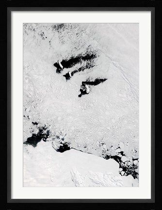 Framed Balleny Islands, near Antarctica Print