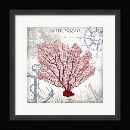 Framed Coastal Sea Life I Print