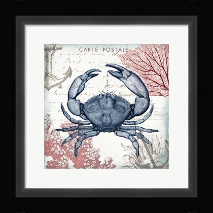 Framed Coastal Sea Life II Print