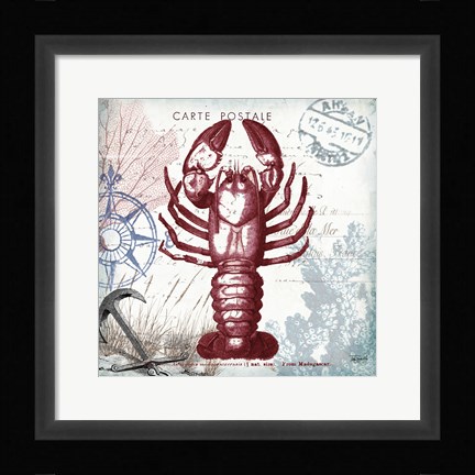Framed Coastal Sea Life III Print