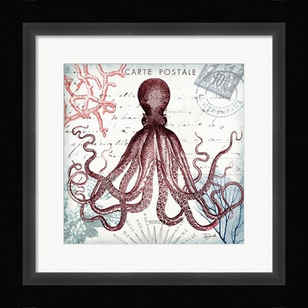 Framed Coastal Sea Life IV Print