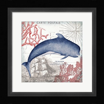 Framed Coastal Sea Life VI Print