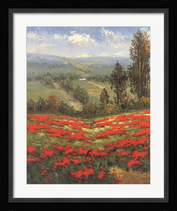 Framed Poppy Vista II Print