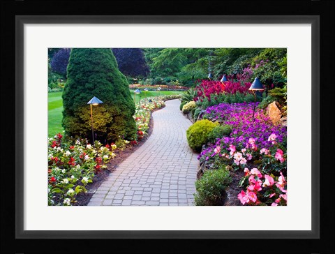 Framed Path and Flower Beds in Butchart Gardens, Victoria, British Columbia, Canada Print