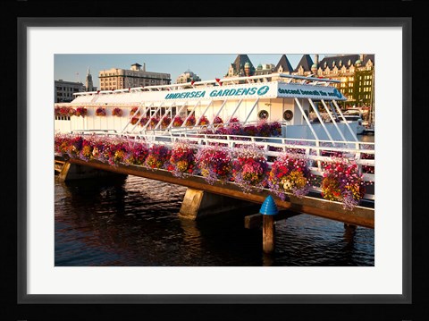Framed British Columbia, Victoria harbor, Undersea Gardens Print