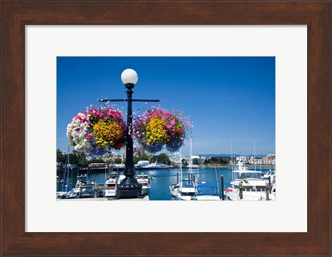 Framed British Columbia, Victoria, Boat Harbor Print