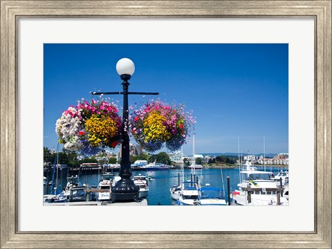 Framed British Columbia, Victoria, Boat Harbor Print