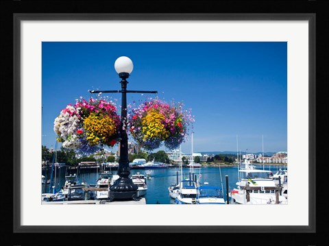 Framed British Columbia, Victoria, Boat Harbor Print