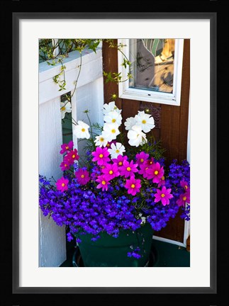 Framed British Columbia, Victoria, Flower Pot Print