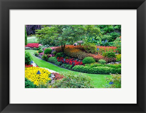 Framed Butchart Gardens in Full Bloom, Victoria, British Columbia, Canada Print
