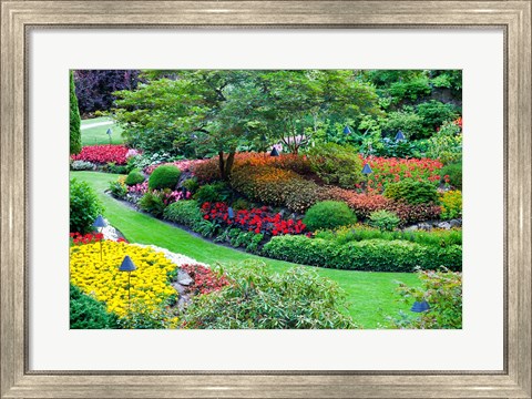 Framed Butchart Gardens in Full Bloom, Victoria, British Columbia, Canada Print