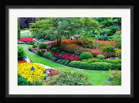 Framed Butchart Gardens in Full Bloom, Victoria, British Columbia, Canada Print