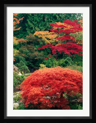 Framed View of Butchart Garden, Victoria, British Columbia, Canada Print