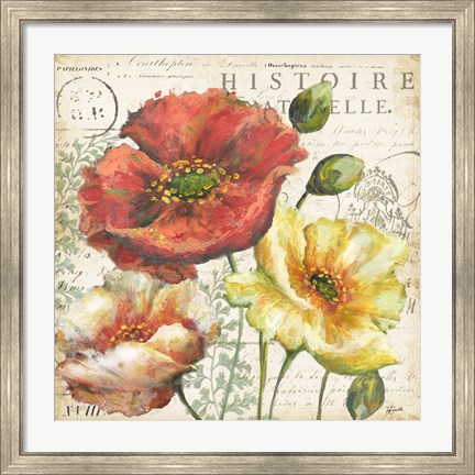 Framed Spice Poppies Histoire Naturelle I Print
