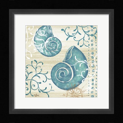 Framed Tranquil Shell II Print