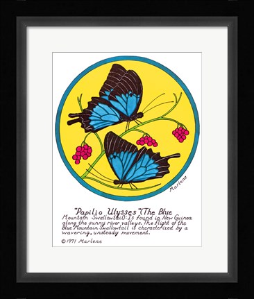 Framed Blue Mountain Swallowtail Print