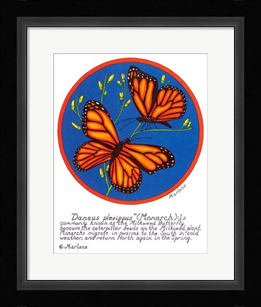 Framed Monarch Print