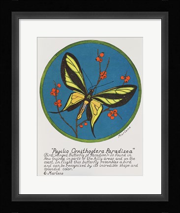 Framed Paradisea Print