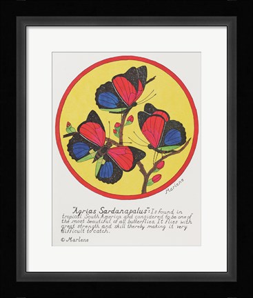 Framed Agrias Sardanaplaus Print