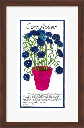 Framed Cornflower Print