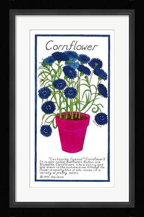 Framed Cornflower Print