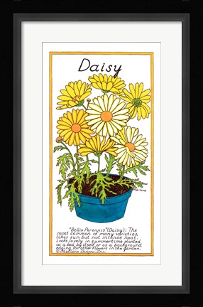 Framed Daisy Print